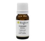 Copahier ou Baume de Copahu (Copaifera officinalis)